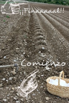 Finca de alubias plantada como lo hacían los abuelos