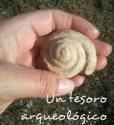 Fósil encontrado en el Valle de Losa