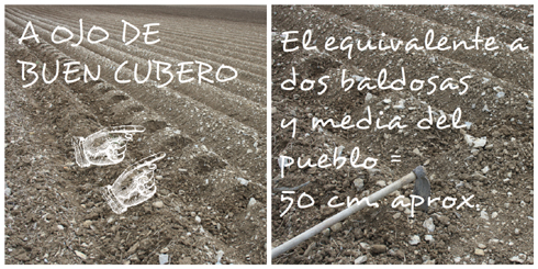 Hoyos para sembrar alubias en Losa