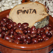 Alubia roja con pintas claras