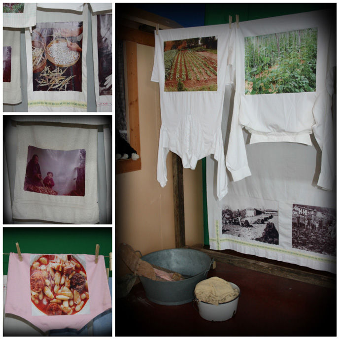 Recogida de la alubia de forma artesanal