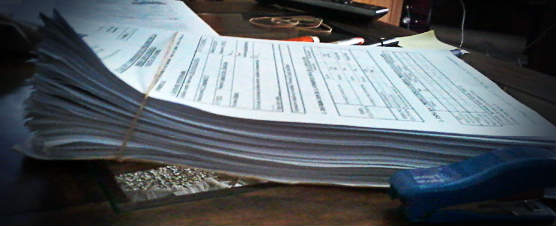 Conversión a agricultura ecológica