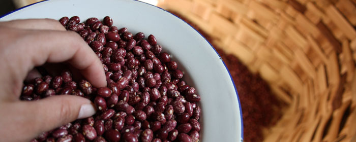 Cómo se seleccionan las alubias