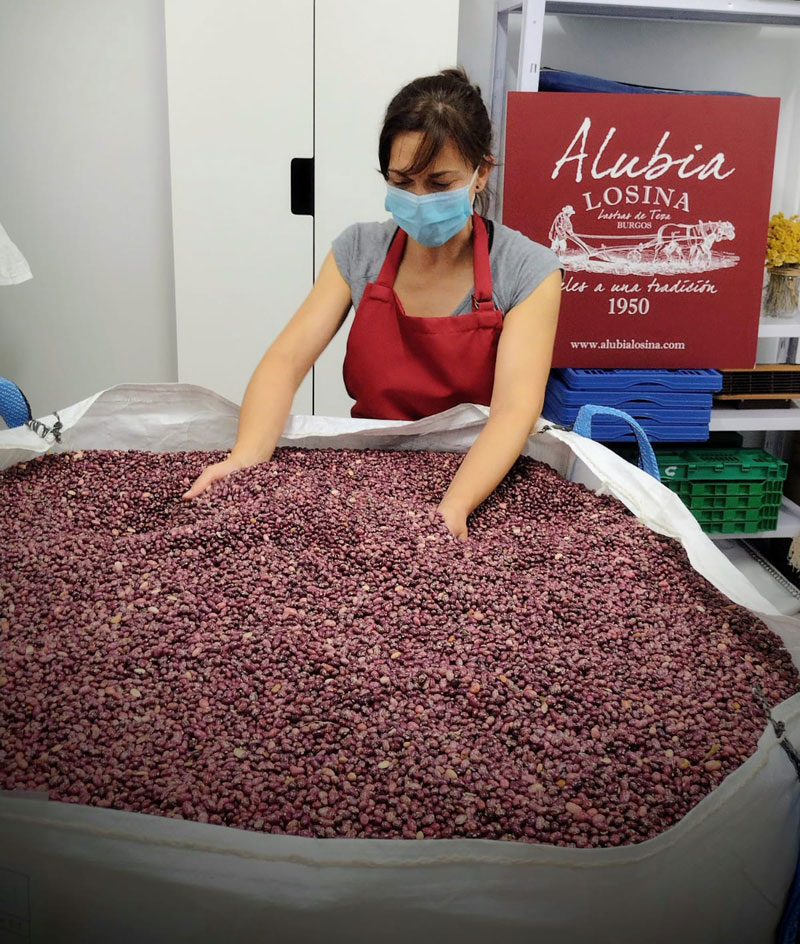 Productora local de alubia ecológica