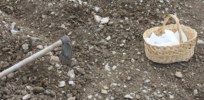 Comienza la «Tercera Edición» de Alubia Losina