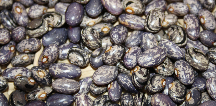 Hibridadas de forma natural