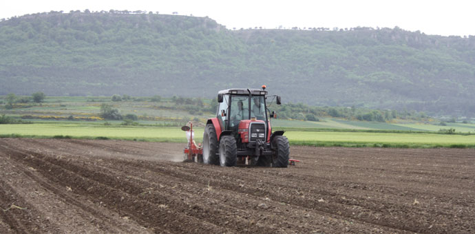 El camino de la producción ecológica