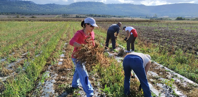 Día Internacional de la Mujer Rural